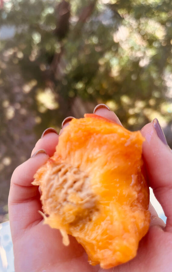 Photography by Gloria Hope Carson hand holding a peace pit