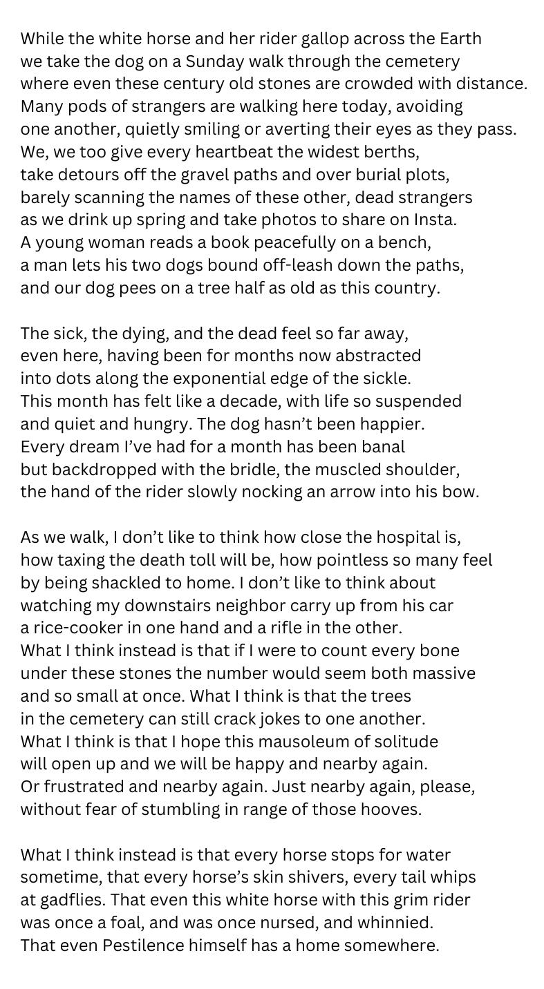 All Hearts Feed Horses (March 2020) While the white horse and her rider gallop across the Earth we take the dog on a Sunday walk through the cemetery where even these century old stones are crowded with distance. Many pods of strangers are walking here